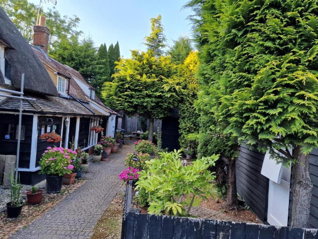 Abingplough House Bed & Breakfast Abingdon-on-Thames Exterior photo